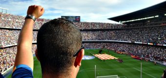 Football fan