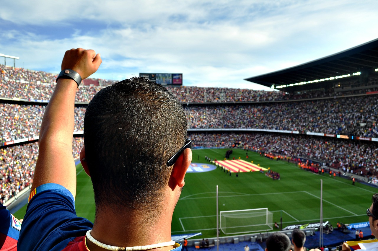 Football fan
